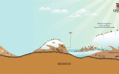 Behind the scenes: How to make animation for science online courses