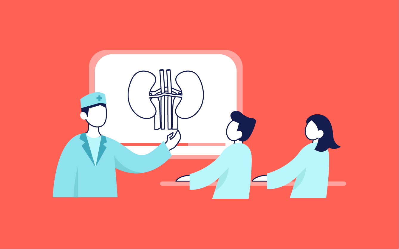 A doctor explaining the anatomy of kidneys using a medical animation