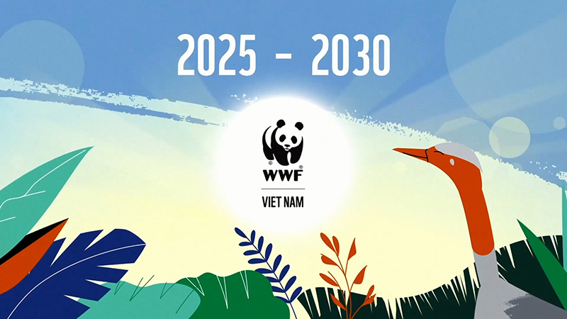 ngo animated video